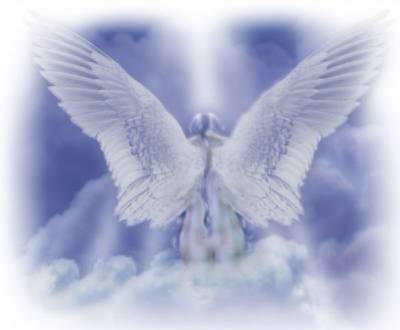 bonjour a tous mes amie  de vip!!!!!